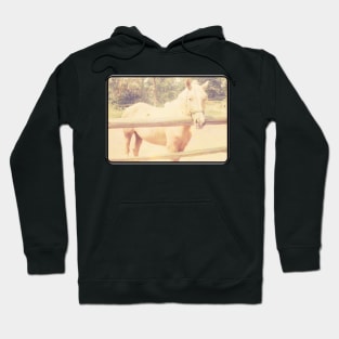 Retro Palomino Horse at Fence Hoodie